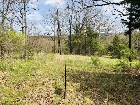 000 6th Ave, Ridgedale, MO 65739 photo 4