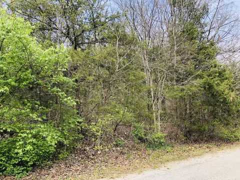 000 6th Ave, Ridgedale, MO 65739 photo 3