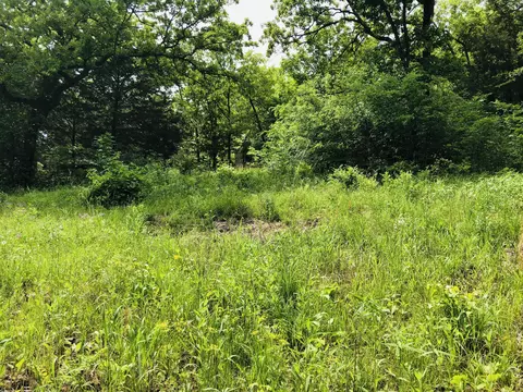 000 6th Ave, Ridgedale, MO 65739 photo 5