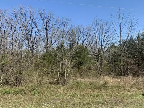 10 Dawn Dr, Buffalo, MO 65622 photo 1