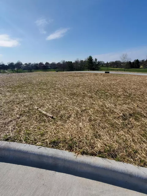 Lot 45 Vintage Pointe, Springfield, MO 65809 photo 2