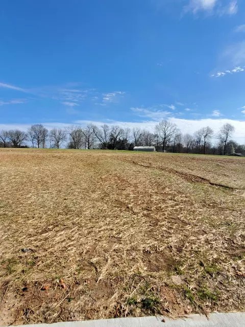 Lot 48 Vintage Pointe, Springfield, MO 65809