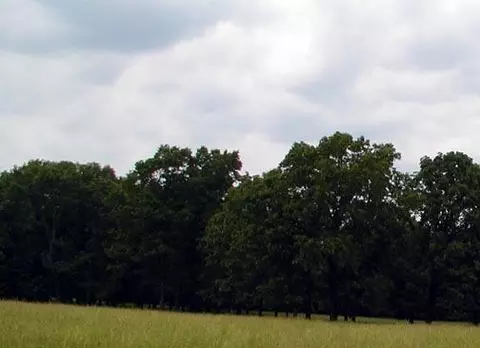 000 Us Highway 160, West Plains, MO 65775