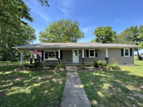 19563 State Highway 181, Dora, MO 65637 photo 1