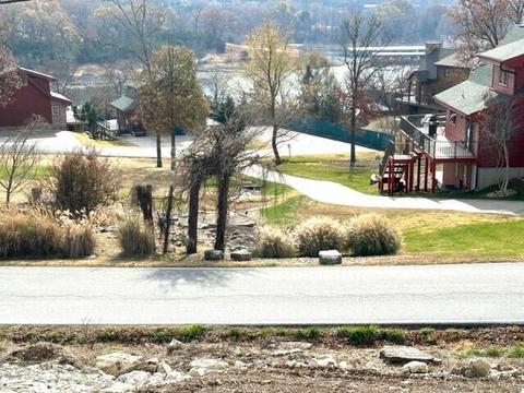 120 Lindal Cedar Ln, Branson, MO 65616 photo 25