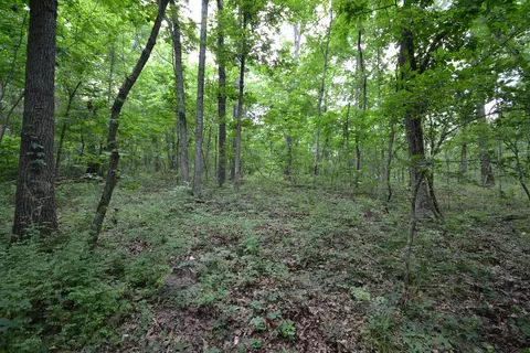 000 Union Ridge Dr, Clever, MO 65631 photo 18