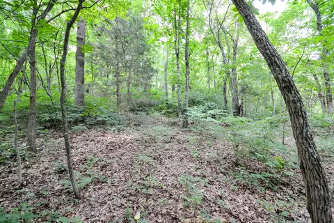 000 Union Ridge Dr, Clever, MO 65631 photo 20