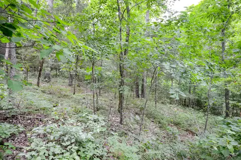 000 Union Ridge Dr, Clever, MO 65631 photo 14
