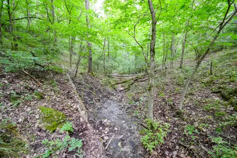 000 Union Ridge Dr, Clever, MO 65631 photo 13