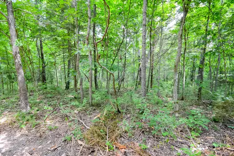 000 Union Ridge Dr, Clever, MO 65631 photo 8