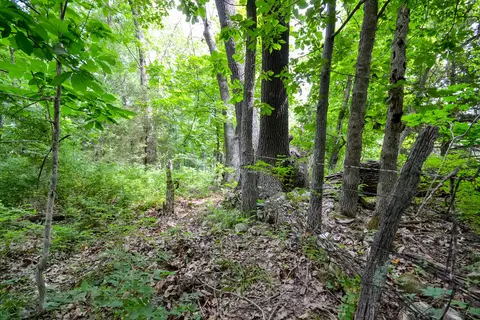 000 Union Ridge Dr, Clever, MO 65631 photo 16