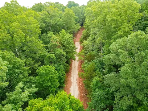 000 Union Ridge Dr, Clever, MO 65631 photo 5