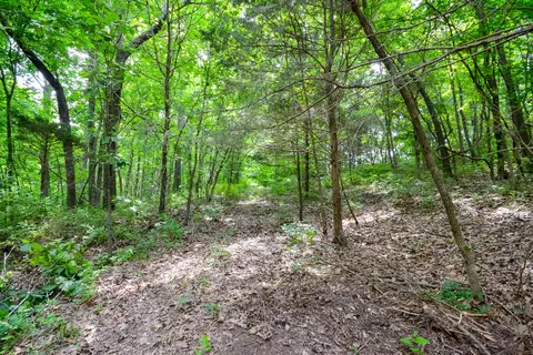 000 Union Ridge Dr, Clever, MO 65631 photo 9
