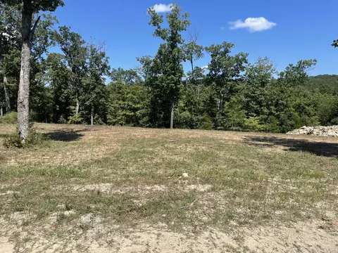 100 N Woods Way, Branson, MO 65616 photo 1