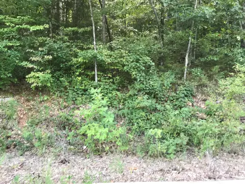 lot235 E Crescent Dr, Hollister, MO 65672