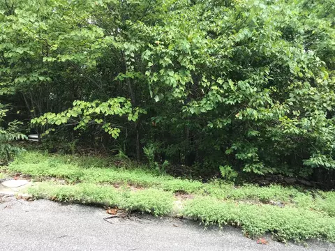 lot256 Skylee Dr, Hollister, MO 65672