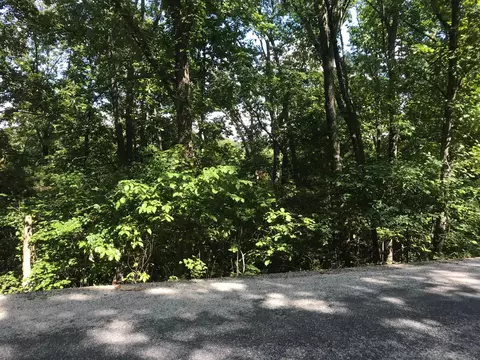lot227 Syler Cir, Hollister, MO 65672