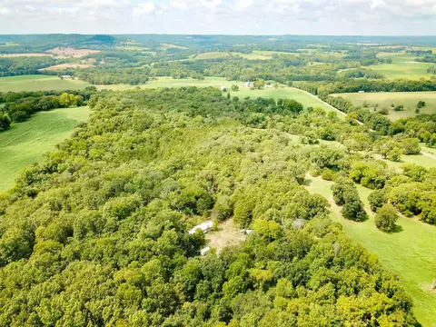 13655 State Highway 39, Aurora, MO 65605 photo 1