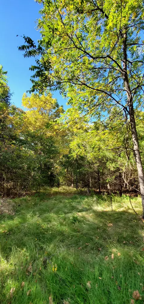 Tbd Garnet Road, Ozark, MO 65721 photo 6