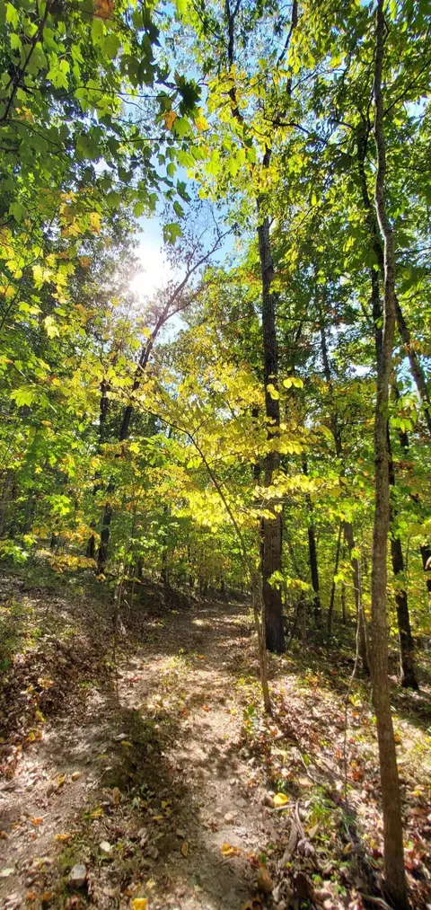 Tbd Garnet Road, Ozark, MO 65721 photo 13
