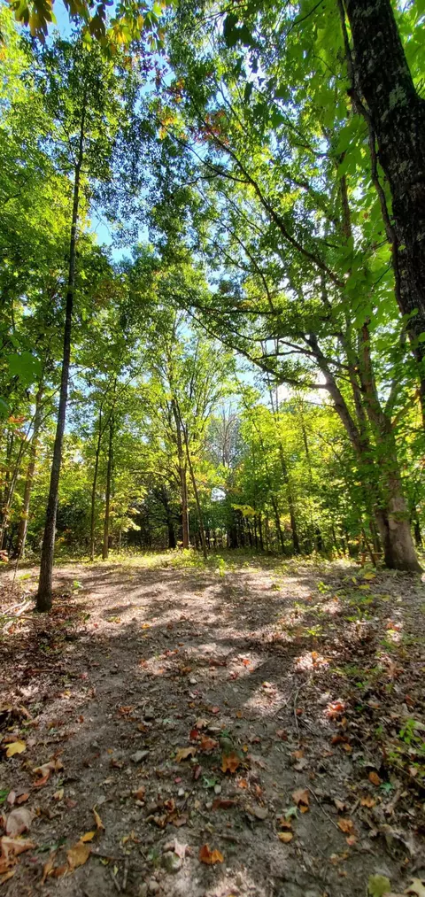 Tbd Garnet Road, Ozark, MO 65721 photo 15