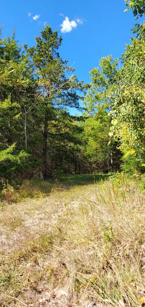 Tbd Garnet Road, Ozark, MO 65721 photo 4