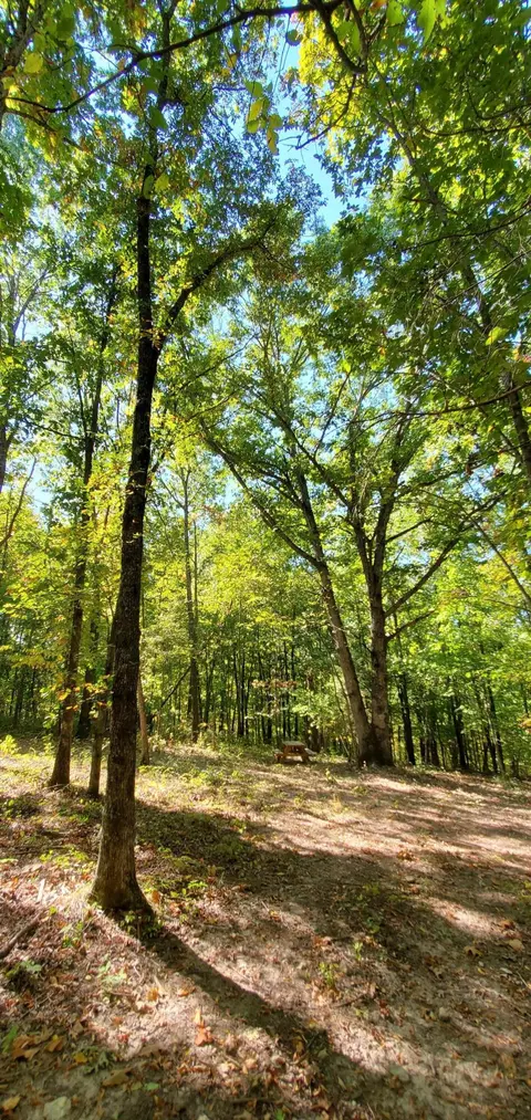 Tbd Garnet Road, Ozark, MO 65721 photo 9