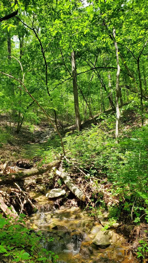 Tbd Garnet Road, Ozark, MO 65721 photo 2
