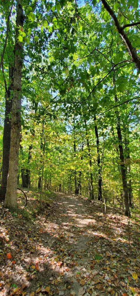 Tbd Garnet Road, Ozark, MO 65721 photo 12
