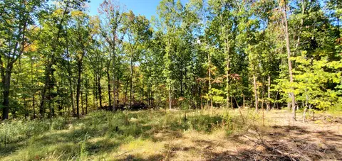Tbd Garnet Road, Ozark, MO 65721 photo 5