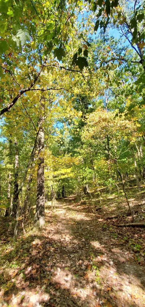 Tbd Garnet Road, Ozark, MO 65721 photo 14