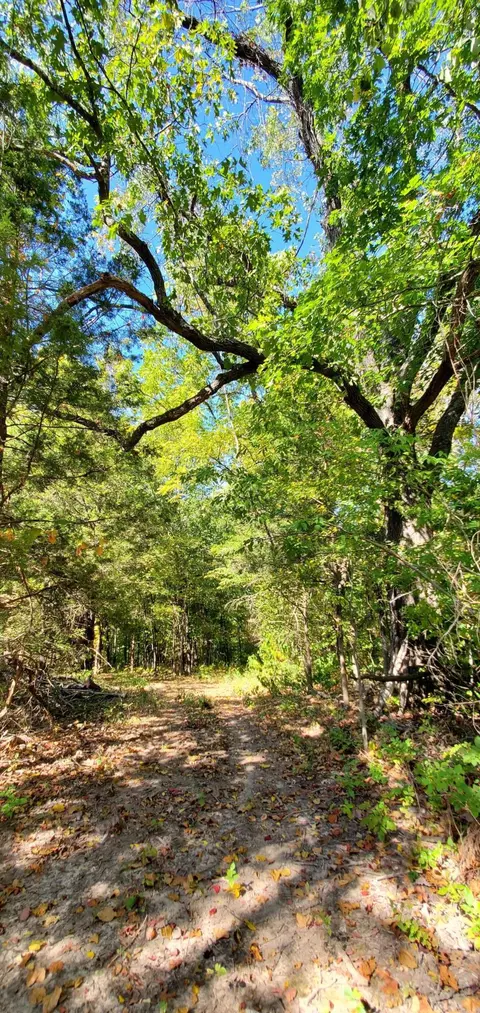 Tbd Garnet Road, Ozark, MO 65721 photo 7