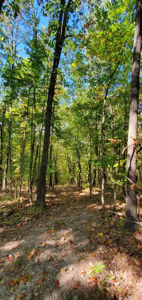Tbd Garnet Road, Ozark, MO 65721 photo 10