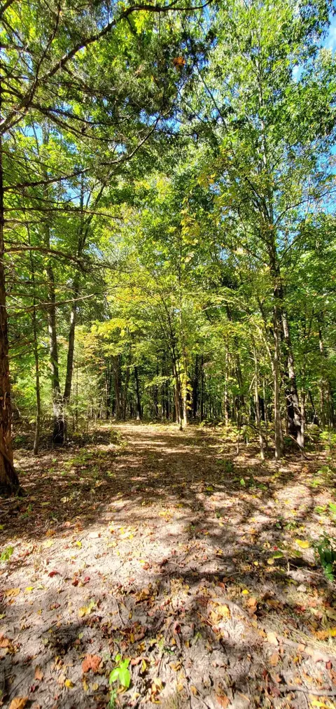 Tbd Garnet Road, Ozark, MO 65721 photo 8