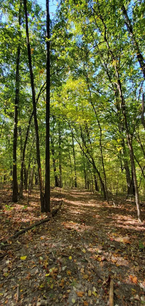 Tbd Garnet Road, Ozark, MO 65721 photo 11