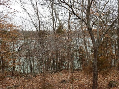 27459 Timber Springs Rd, Shell Knob, MO 65747 photo 39