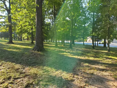 22009 Mill Creek Way, Shell Knob, MO 65747 photo 3