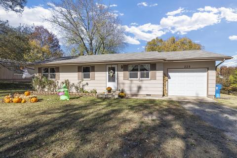 225 Division St, Forsyth, MO 65653 photo 1