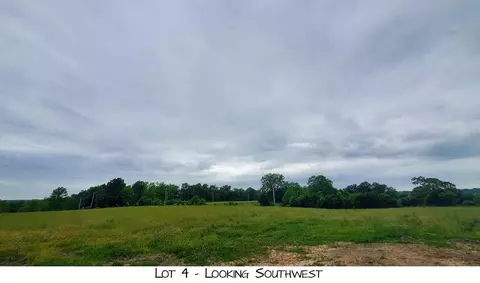 lot4 Pleasant View Rd, Brighton, MO 65617