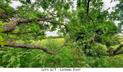 lot7 Pleasant View Rd, Brighton, MO 65617 photo 3