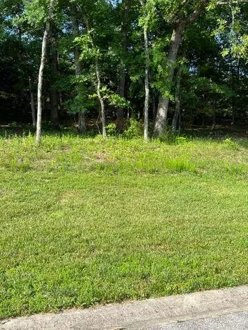23 Pebble Beach Drive, Branson, MO 65616 photo 2