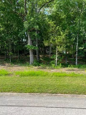 23 Pebble Beach Drive, Branson, MO 65616 photo 3