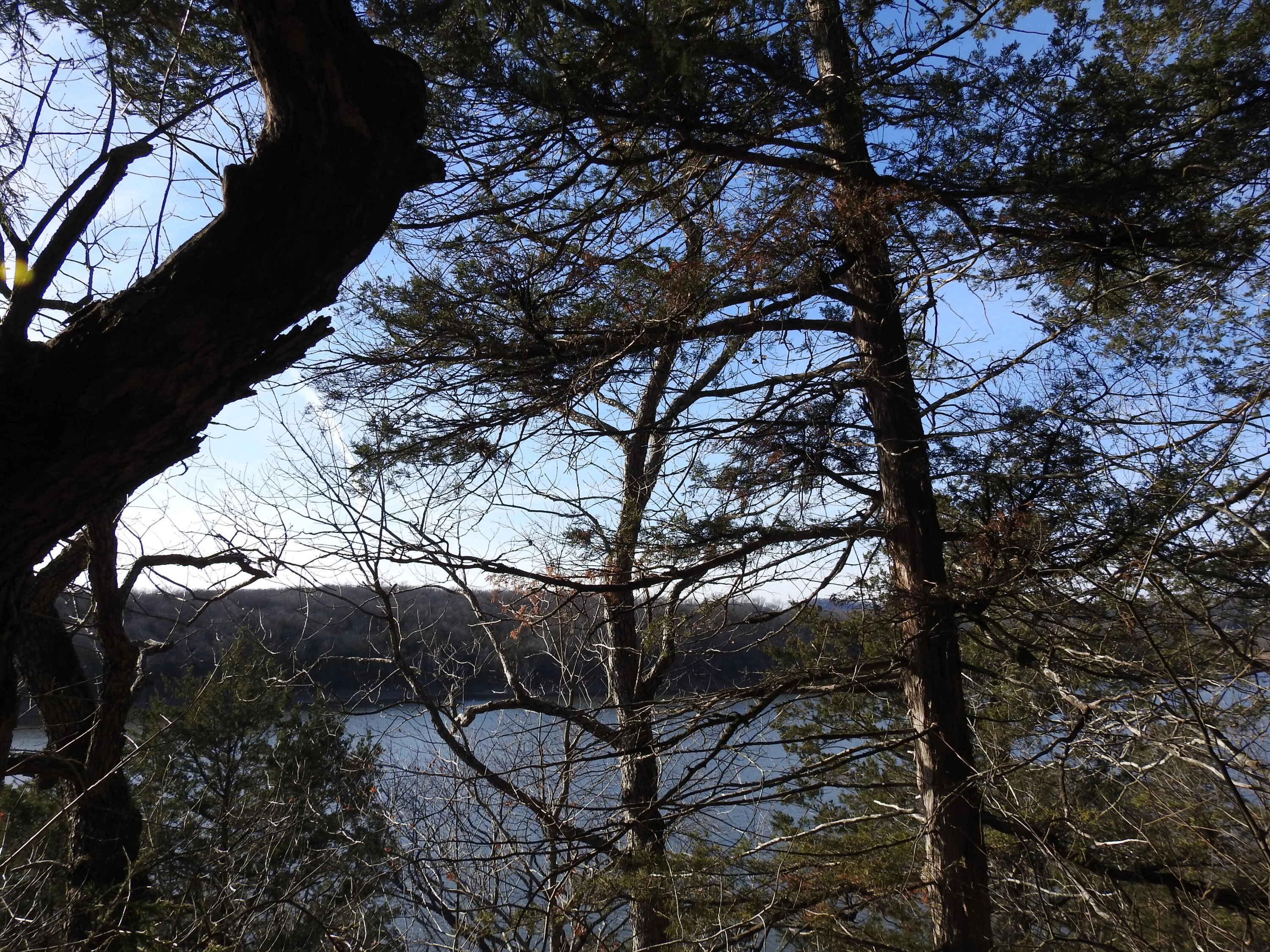 Lot 3 Private Rd 1189