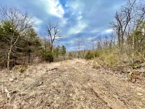 205 Rockridge Rd, Branson, MO 65616 photo 5