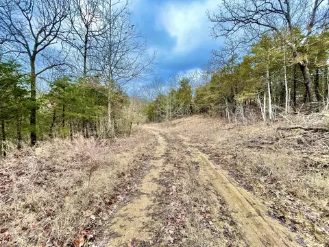 205 Rockridge Rd, Branson, MO 65616 photo 3
