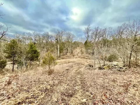 205 Rockridge Rd, Branson, MO 65616 photo 4