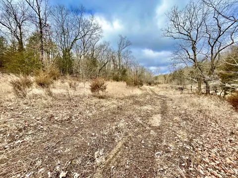 205 Rockridge Rd, Branson, MO 65616 photo 7