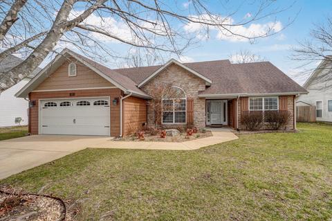 102 Sapling Dr, Branson, MO 65616 photo 1