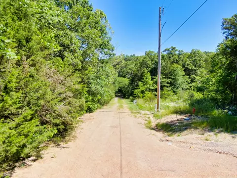 tbd Alyeska Point Rd, Lampe, MO 65681 photo 21