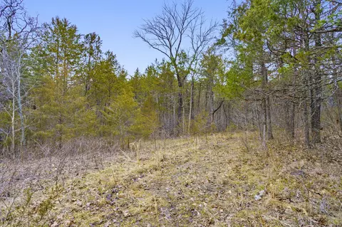 tbd Alyeska Point Rd, Lampe, MO 65681 photo 10